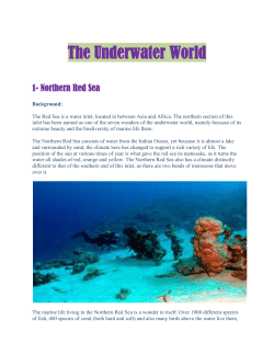 The UnderWater World