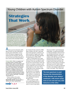 Strategies That Wo rk