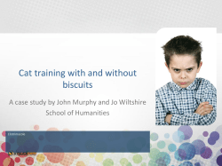 Cat training with and without biscuits