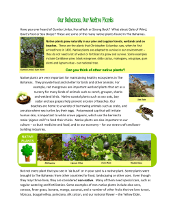 Our Bahamas, Our Native Plants - Caribbean Invasive Alien Species