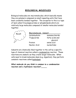 BIOLOGICAL MOLECULES