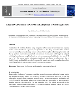 Effect of COD/N Ratio on Growth and Adaptation of Nitrifying Bacteria