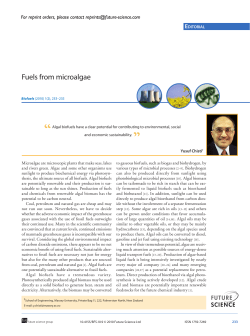 Fuels from microalgae