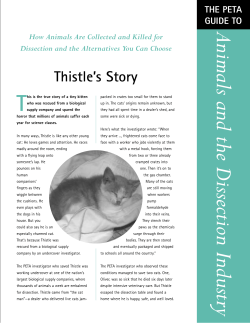 Animals and the Dissection Industry