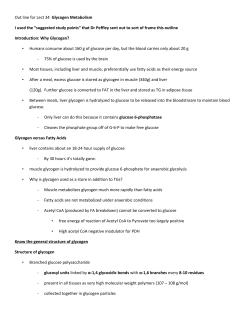 Out line for Lect 34 Glycogen Metabolism