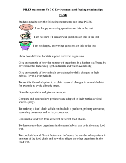 PILES statements Yr 7 C Environment and feeding relationships