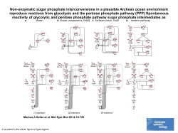 powerpoint - Molecular Systems Biology