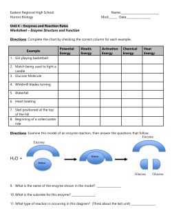 Worksheet - Structure and Function of Enzymes