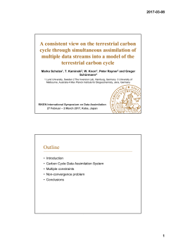 A consistent view on the terrestrial carbon cycle through