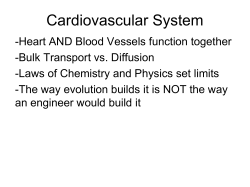 BI20 Cardiovascular - (canvas.brown.edu).