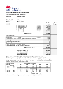 Beef cattle gross margin budget - feeder steers