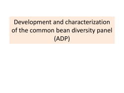 Development and characterization of the common bean diversity