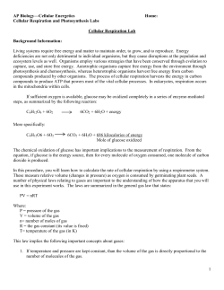 AP Biology&mdash;Cellular Energetics Home: Cellular Respiration and