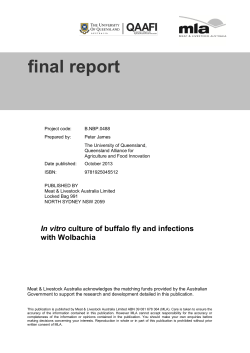 B.NBP.0488 Final Report