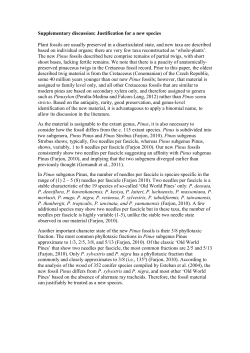 Supplementary discussion: Justification for a new species Plant