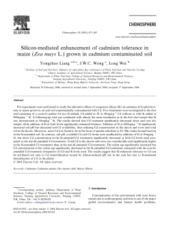 Silicon-mediated enhancement of cadmium tolerance in maize (Zea
