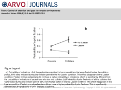 Slide - Journal of Vision