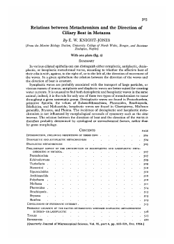 Relations between Metachronism and the Direction of Ciliary Beat in