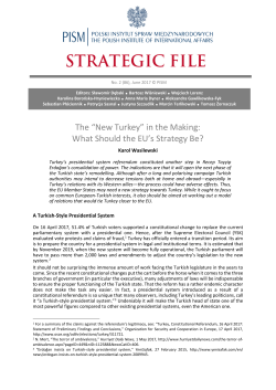 The “New Turkey” in the Making: What Should the EU`s Strategy Be?