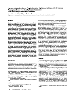 Human Autoantibodies to Poly(Adenosine Diphosphate