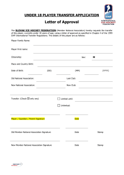 INTERNATIONAL ICE HOCKEY FEDERATION