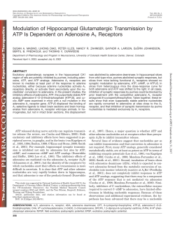 Modulation of Hippocampal Glutamatergic Transmission by ATP Is