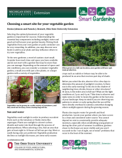Choosing a smart site for your vegetable garden