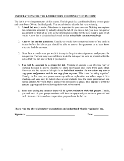 Lab Report