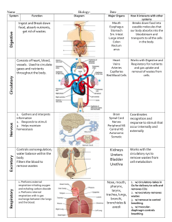 System - cloudfront.net