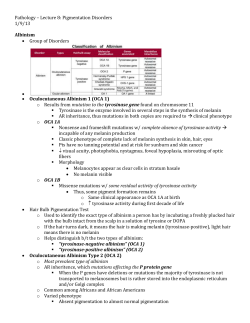 Pathology &ndash; Lecture 8: Pigmentation Disorders 1/9/13 Albinism