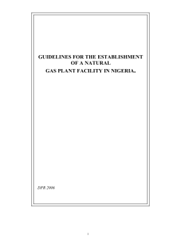 Guidelines for the Establishment of Natural Gas Plant