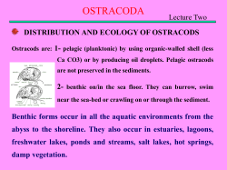 DISTRIBUTION AND ECOLOGY OF OSTRACODS Ostracods are: 1