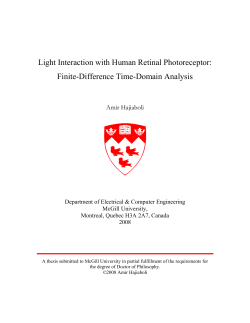 Light Interaction with Human Retinal Photoreceptor