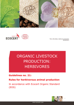 organic livestock production: herbivores
