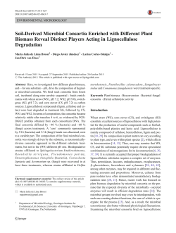 Soil-Derived Microbial Consortia Enriched with Different Plant