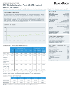 Factsheet BGF Global Allocation Fund Class A2