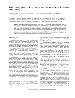 Rate Limiting Steps of AAV Transduction and Implications for