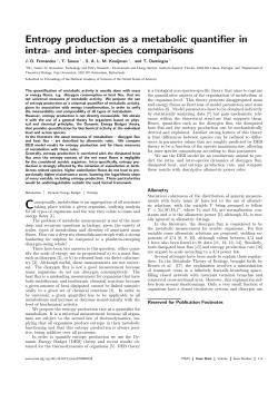 Entropy production as a metabolic quantifier in intra