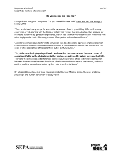 From: Margaret Livingstone, Vision and Art: The