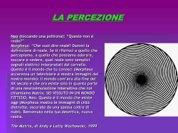 1.distorsioni percettive 2.false percezioni illusioni
