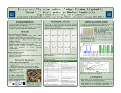 Survey and Characterization of Algal Strains Adapted to Growth on