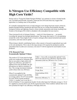 Is Nitrogen Use Efficiency Compatible with High Corn Yields?