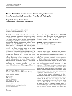 Characterization of Two Novel Biovar ofAgrobacterium