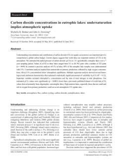Carbon dioxide concentrations in eutrophic lakes