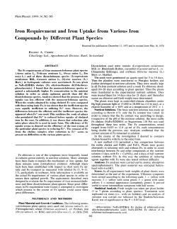 Iron Requirement and Iron Uptake from Various Iron Compounds by