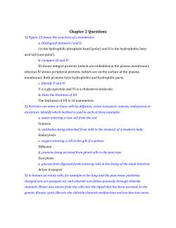 Chapter 2 Questions