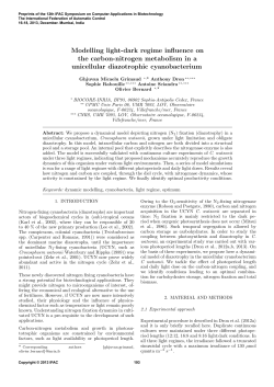 Modelling Light-Dark Regime Influence on the Carbon