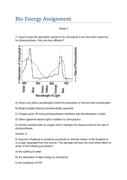Bio Energy Assignment