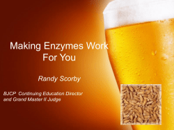Golden Beer - American Homebrewers Association