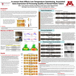 Starch Breakdown Reducing Sugar Accumulation
